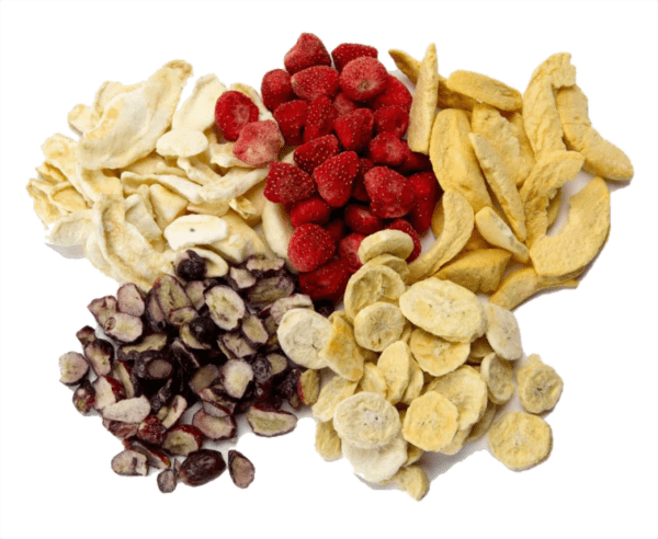 freeze dried fruit bulk