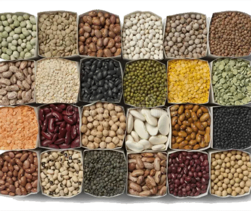 Dried Beans Bulk